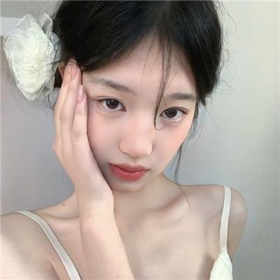 冲绳小芙蓉
