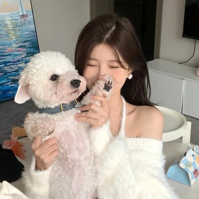 没人瞭波斯猫